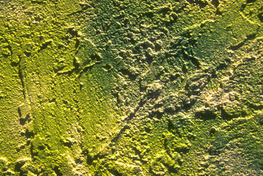 Similar image 7974907