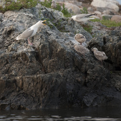 Similar image 7974908