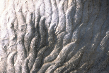 Similar image 7974910