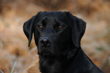 Similar image 7974917