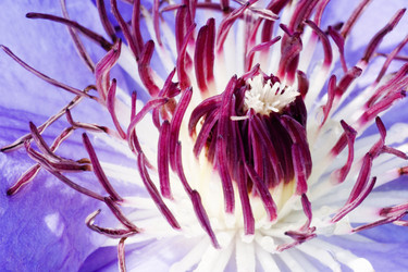 Similar image 7974922