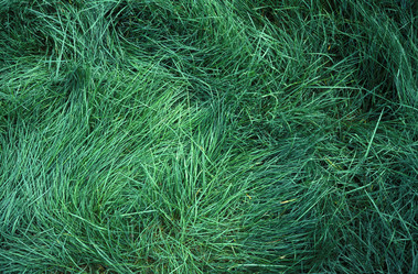 Similar image 7974923