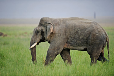 Similar image 7974924