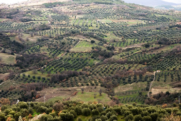 Similar image 7974939