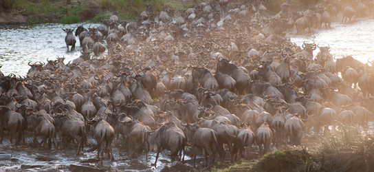 Similar image 7974947