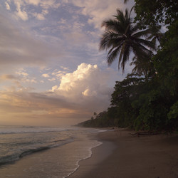 Similar image 7974949