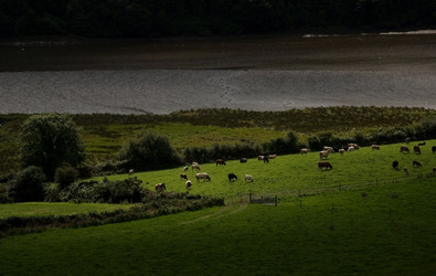 Similar image 7974968