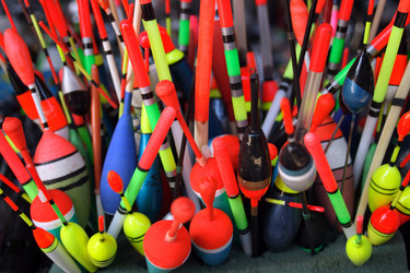 Similar image 7974973