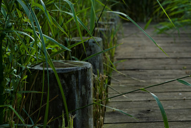 Similar image 7974975