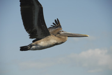 Similar image 7974999