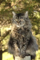 Similar image 7975001