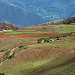 Similar image 7975002