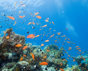 Similar image 7975008