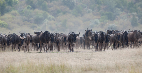 Similar image 7975013