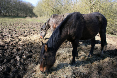 Similar image 7975023