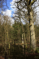 Similar image 7975026