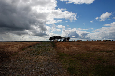 Similar image 7975036