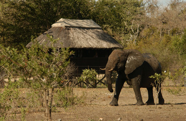 Similar image 7975040