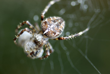 Similar image 7975042