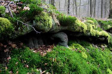 Similar image 7975045