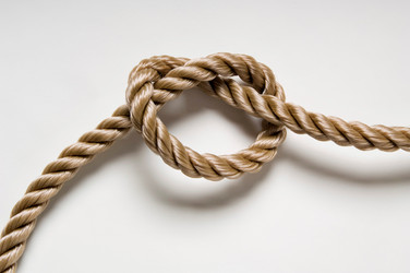 Similar image 7975047