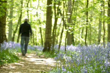 Similar image 7975059