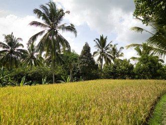 Similar image 7975076