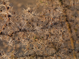 Similar image 7975082