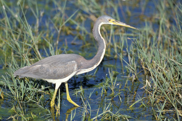 Similar image 7975084