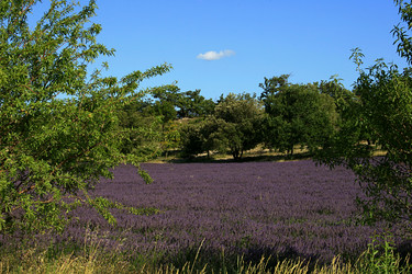 Similar image 7975086