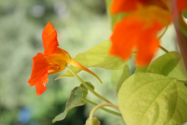 Similar image 7975092