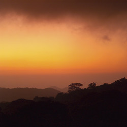 Similar image 7975098