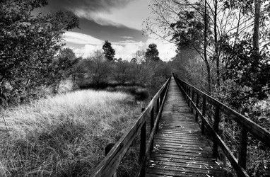 Similar image 7975099