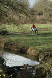 Similar image 7975100