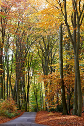 Similar image 7975115