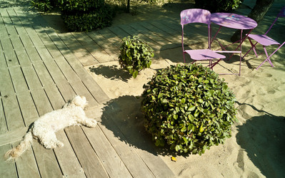 Similar image 7975117