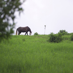 Similar image 7975119