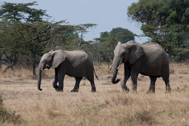 Similar image 7975121