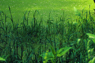 Similar image 7975122