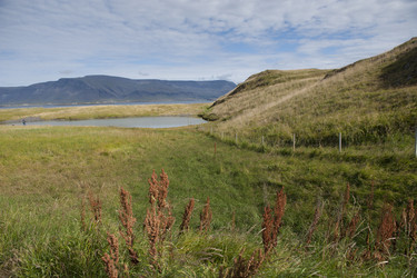 Similar image 7975126