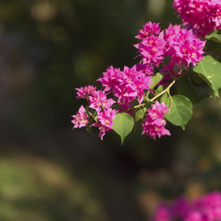 Similar image 7975135