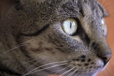 Similar image 7975140