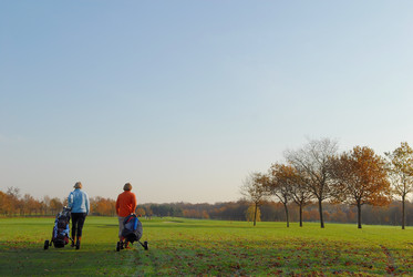 Similar image 7975147