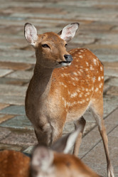 Similar image 7975148