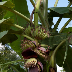 Similar image 7975153