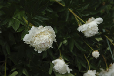 Similar image 7975175