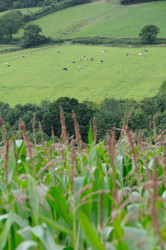 Similar image 7975176