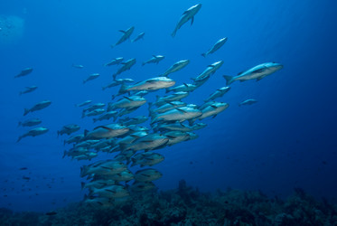 Similar image 7975178