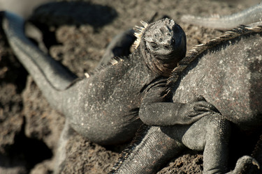 Similar image 7975179