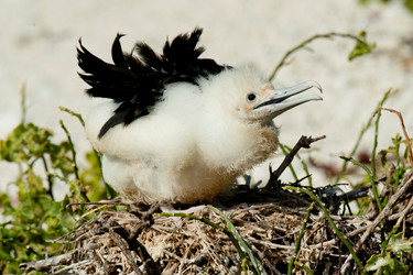 Similar image 7975187